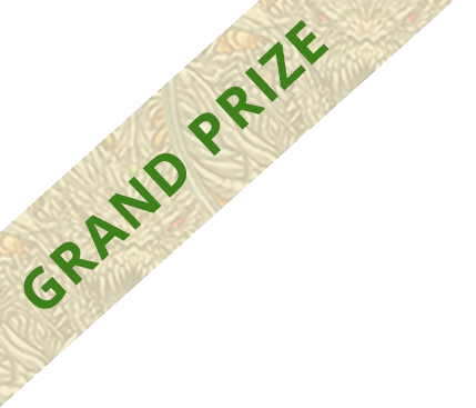 RPG Superstar 2021 Grand Prize Winner